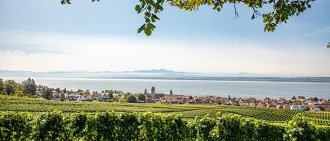 Die wunderschöne Sicht über die Weinreben von Hagnau am Bodensee.