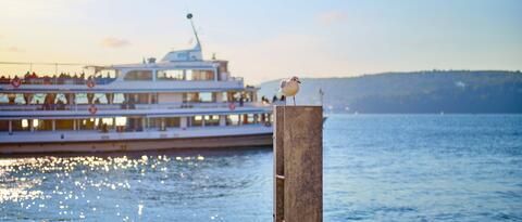 Möve auf einem Poller im Hafen, im Hintergrund ein Schiff am Bodensee