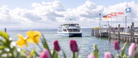 Frühling MS Insel Mainau
