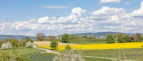Wanderung zum Fuchshof