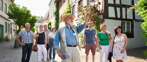 Eine Gruppe von Personen hört einem Stadtführer zu, der auf ein Objekt außerhalb des Fotos zeigt.