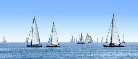 Mehrere Segelboote auf dem Bodensee mit blauem Himmel.