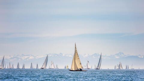 Segelboote auf dem Bodensee mit Blick auf die Alpen. 