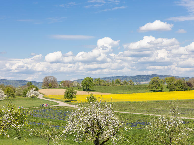 Wanderung zum Fuchshof