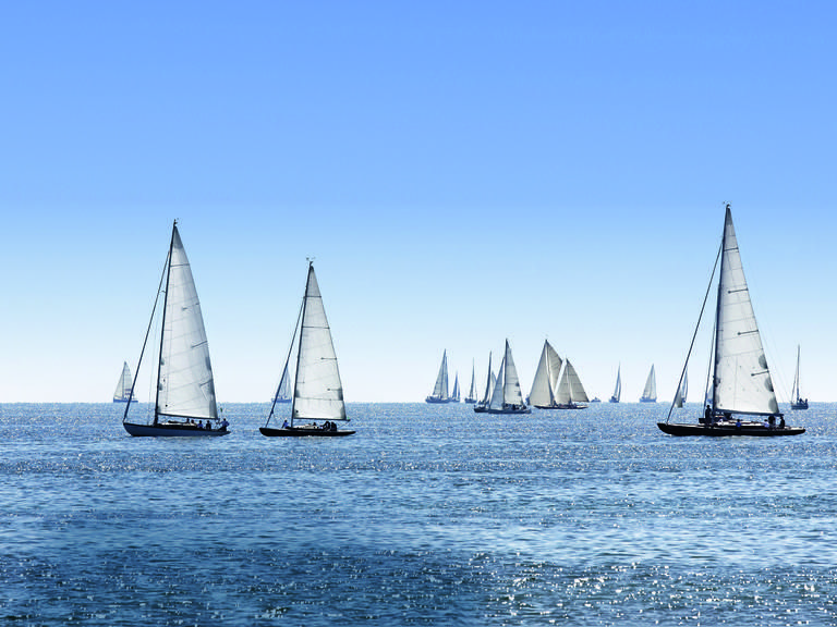 Mehrere Segelboote auf dem Bodensee mit blauem Himmel.