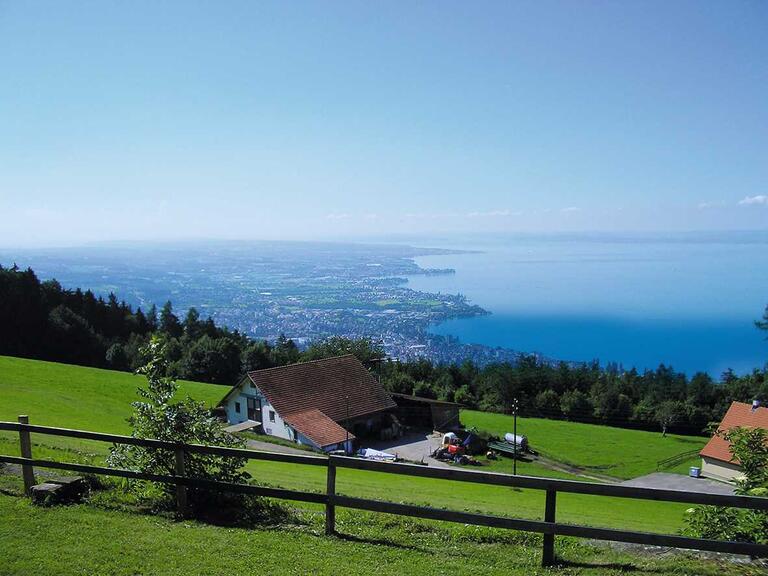 Blick von grünen Wiesen auf den Bodensee. 