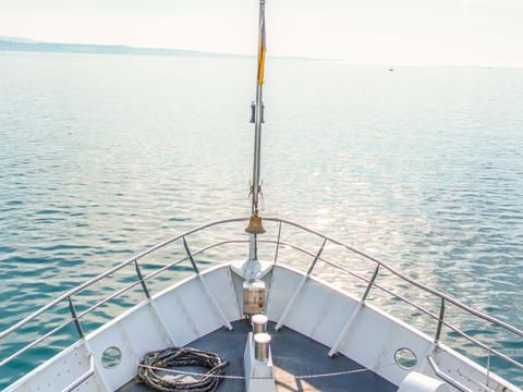 Blick vom Schiffsbug auf den sonnigen Bodensee.