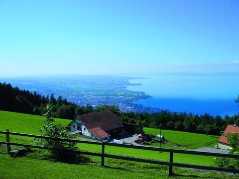 Blick von eine grünen Wiese in der Schweiz auf den Bodensee. 