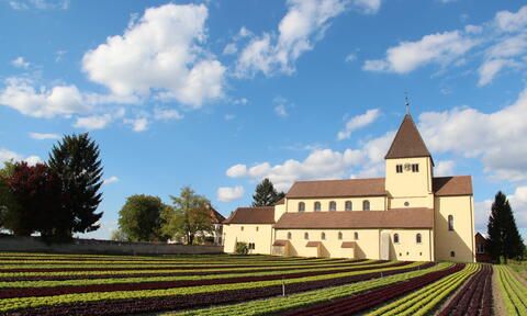 Reichenau Gemüse