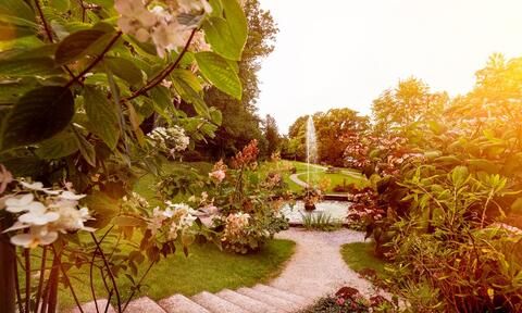 Blick in den Arenenberger Park mit Gegenlicht