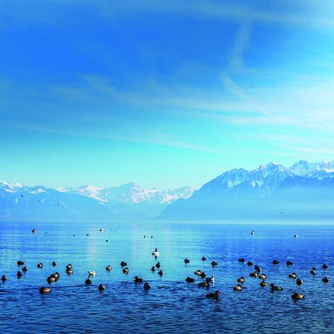 Winterliche Rundfahrt auf dem Bodensee.